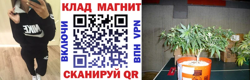 Купить закладку Канабис  APVP  АМФ  Мефедрон  Катайск