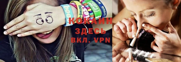 индика Волосово