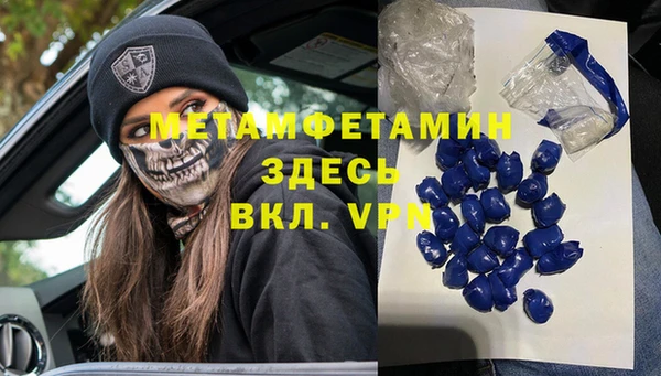 индика Волосово