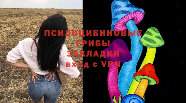 бошки Волоколамск