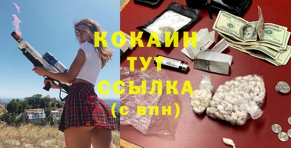 индика Волосово