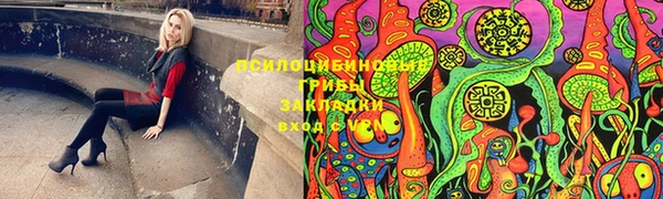 индика Волосово