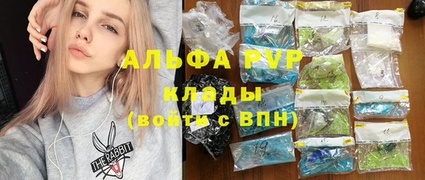индика Волосово