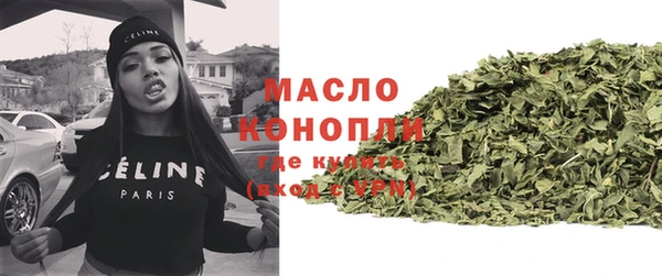 индика Волосово
