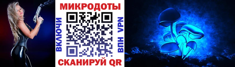 Купить где  Катайск  Псилоцибиновые грибы Cubensis 