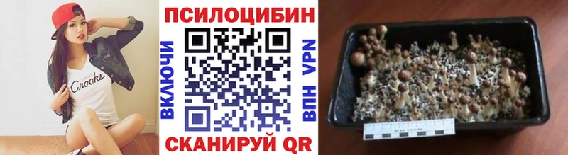 Псилоцибиновые грибы Cubensis Катайск